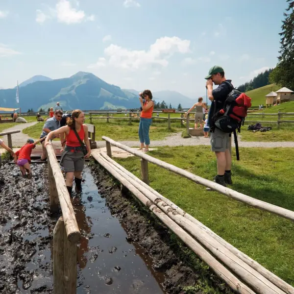 Mehrere Personen laufen barfuß über einen eingezäunten, schlammigen Weg in einem grasbewachsenen Außenbereich mit Bergen im Hintergrund.
