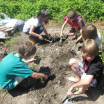 Fünf Kinder graben mit kleinen Gartengeräten in einem Gartenbeet, umgeben von Grünpflanzen und Erdsäcken im Hintergrund.