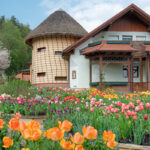 Ein Haus mit einem strohgedeckten Rundturm steht hinter farbenfrohen Tulpenbeeten in voller Blüte unter einem teilweise bewölkten Himmel.