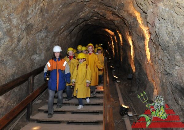 Eine Gruppe Kinder in gelben Regenmänteln und Helmen geht in einem felsigen unterirdischen Tunnel Holzstufen hinunter, angeführt von einem Erwachsenen in einer blau-orangen Jacke.