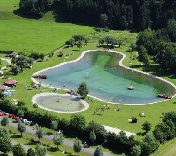 Luftaufnahme eines angelegten Teichs mit klarem Wasser, umgeben von Gras, Bäumen und geparkten Autos, in dessen Umgebung sich Menschen entspannen.