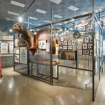 Museumsausstellung mit präparierten Tieren, Fotografien, historischen Darstellungen und einer großen Schaufensterpuppe in einem farbenfrohen Kostüm am Eingang.