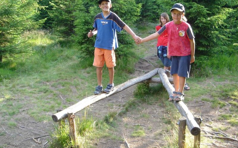Zwei Jungen stehen händchenhaltend auf einem V-förmigen hölzernen Schwebebalken im Freien, während ein Mädchen hinter ihnen in der Nähe eines Waldes auf dem Boden steht.