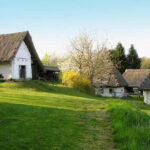 Mehrere weiße, strohgedeckte Häuser stehen in einer grasbewachsenen, hügeligen Landschaft mit Bäumen und klarem Himmel im Hintergrund.