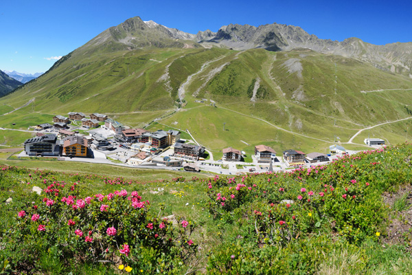 Ein kleines Dorf mit Gebäuden im alpinen Stil liegt in einem grünen Bergtal, mit bunten Wildblumen im Vordergrund und schroffen Gipfeln im Hintergrund unter einem klaren blauen Himmel.