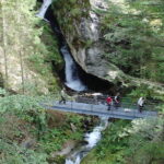Eine Gruppe von Menschen überquert einen Metallsteg über einen Bach mit einem Wasserfall, der von dichtem Wald umgeben ist.