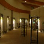 Ein gut beleuchteter Museumsausstellungsraum mit Vitrinen in der Mitte und beleuchteten Informationstafeln entlang der gebogenen Wände.