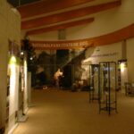 Ausstellungshalle im Nationalparkzentrum Bios mit Informationstafeln, einer Bärenskulptur vor einem Waldwandbild und überhängenden Holzbalken.