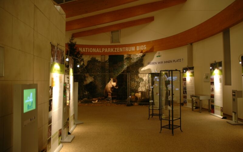 Ausstellungshalle im Nationalparkzentrum Bios mit Informationstafeln, einer Bärenskulptur vor einem Waldwandbild und überhängenden Holzbalken.