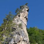 Ein hoher, schmaler Felsvorsprung mit spärlicher Vegetation, umgeben von grünen Bäumen, unter einem klaren blauen Himmel.