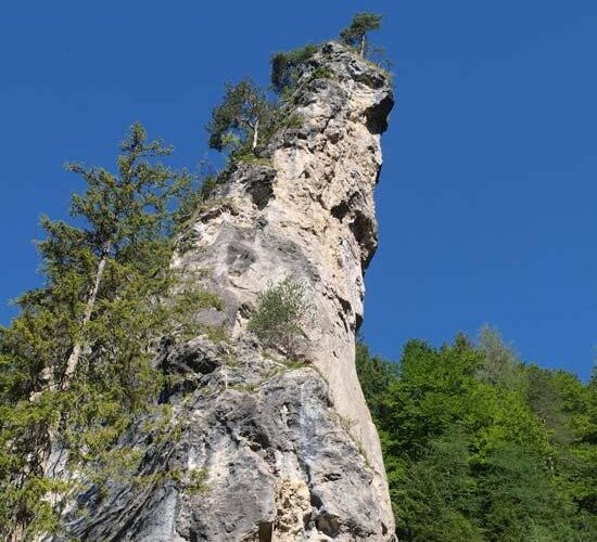 Ein hoher, schmaler Felsvorsprung mit spärlicher Vegetation, umgeben von grünen Bäumen, unter einem klaren blauen Himmel.