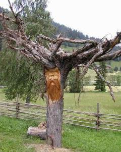 Ein Baum mit einem geschnitzten Gesicht auf seinem Stamm steht auf einer Wiese in der Nähe eines Holzzauns und von Hügeln im Hintergrund.