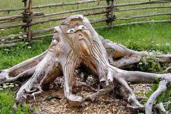 Baumstumpf mit geschnitztem Gesicht und Bart, umgeben von Gras und umschlossen von einem rustikalen Holzzaun.