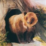 Ein Braunbär steht am Eingang einer Höhle, umgeben von Felsen und Blättern in einer natürlichen Umgebung.