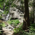 Eine schattige Bank und ein Weg mit Holzgeländer stehen neben einem Felsen und Grün in einem bewaldeten Gebiet.