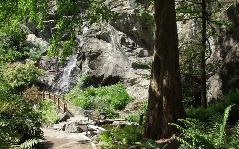 Eine schattige Bank und ein Weg mit Holzgeländer stehen neben einem Felsen und Grün in einem bewaldeten Gebiet.