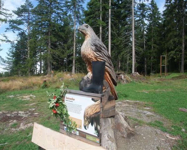 Eine große hölzerne Adlerskulptur steht im Freien auf einem Sockel mit einem Informationsschild und einem schwarzen Stiefel auf der Skulptur. Im Hintergrund sind Bäume und Gras zu sehen.