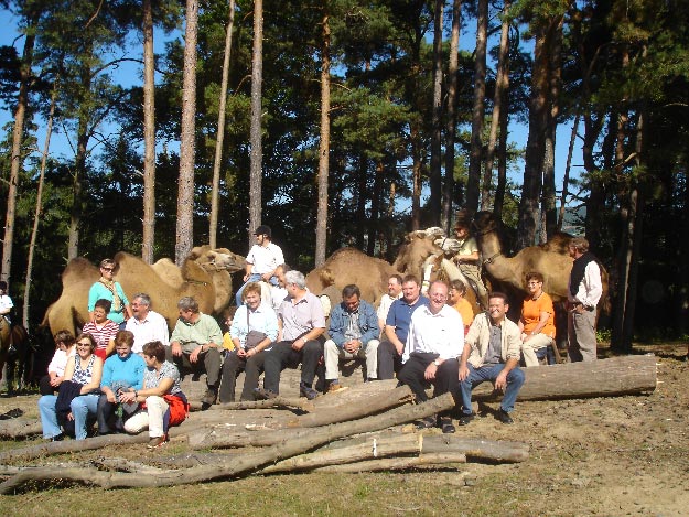 Eine Gruppe von Menschen sitzt auf Baumstämmen in einem bewaldeten Gebiet mit mehreren Kamelen und Bäumen im Hintergrund.
