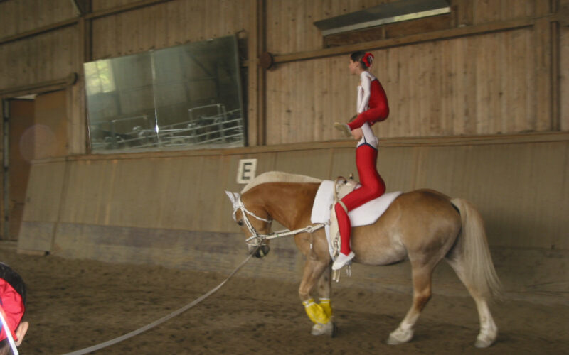 Eine Person in rot-weißem Outfit voltigiert auf einem hellbraunen Pferd in einer Reithalle.