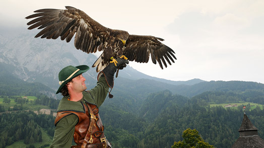 Ein Falkner in grünem Gewand hält einen großen Adler auf seinem behandschuhten Arm, während im Hintergrund eine bergige, bewaldete Landschaft zu sehen ist.