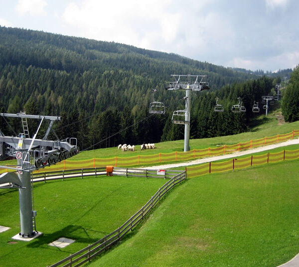 Ein Skilift führt über grüne Grashügel mit hölzernen und orangefarbenen Zäunen; eine kleine Kuhherde weidet in der Nähe der Mitte. Im Hintergrund sind Kiefernwälder und Hügel zu sehen.