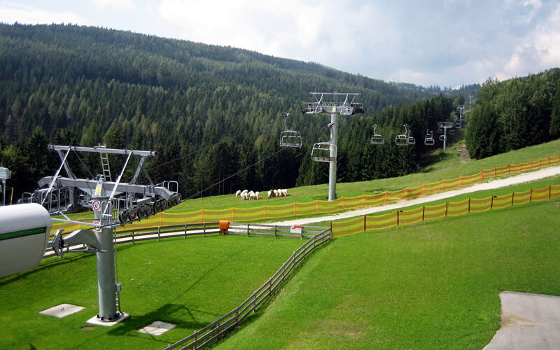 Ein Skilift führt über grüne Grashügel mit hölzernen und orangefarbenen Zäunen; eine kleine Kuhherde weidet in der Nähe der Mitte. Im Hintergrund sind Kiefernwälder und Hügel zu sehen.