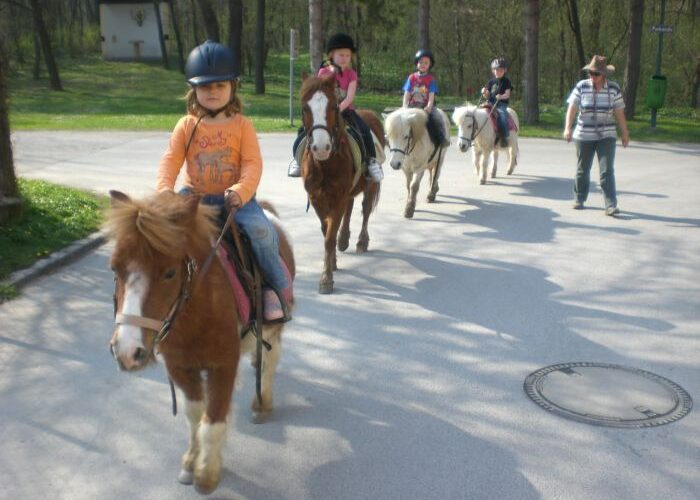 Vier Kinder reiten auf Ponys auf einem gepflasterten Weg, während ein Erwachsener in der Nähe spazieren geht und die Gruppe durch ein bewaldetes Parkgelände führt.