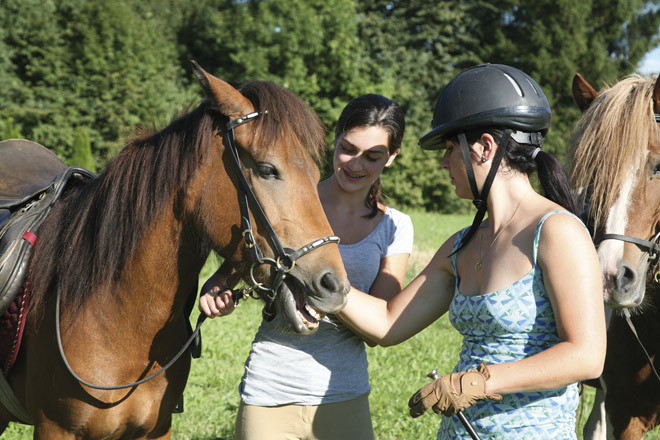 Zwei Frauen stehen neben einem braunen Pferd auf einer grasbewachsenen Wiese; eine Frau streichelt das Pferd, während die andere lächelnd zusieht. Ein anderes Pferd ist teilweise rechts zu sehen.
