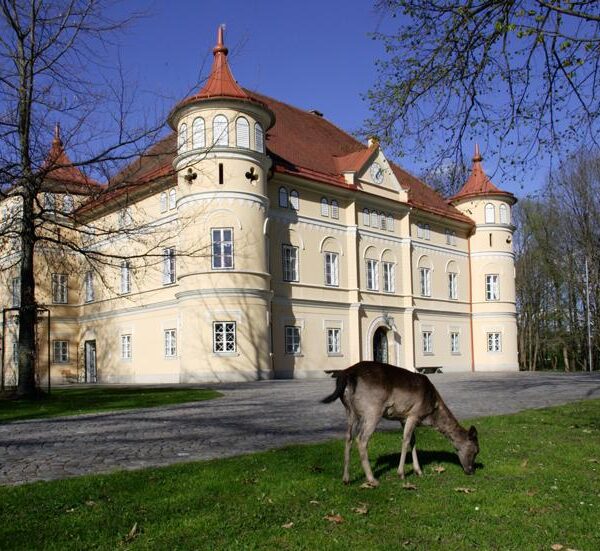 Ein großes gelbes Herrenhaus mit roten Dächern und Rundtürmen steht hinter einem grasenden Hirsch im Vordergrund, unter einem klaren blauen Himmel.