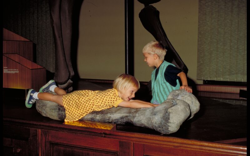 Zwei kleine Kinder interagieren mit einem großen Dinosaurierknochen, der auf einer hölzernen Plattform in einer Museumsausstellung ausgestellt ist.
