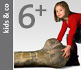 Junges Mädchen im roten Hemd, das ein großes Dinosaurierfossilmodell berührt, mit dem Text "6+" und "kids & co" auf einer grauen Seitenwand.