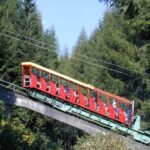 Eine rot-gelbe Standseilbahn befördert die Fahrgäste einen steilen, bewaldeten Hang hinauf, der von hohen, immergrünen Bäumen umgeben ist.