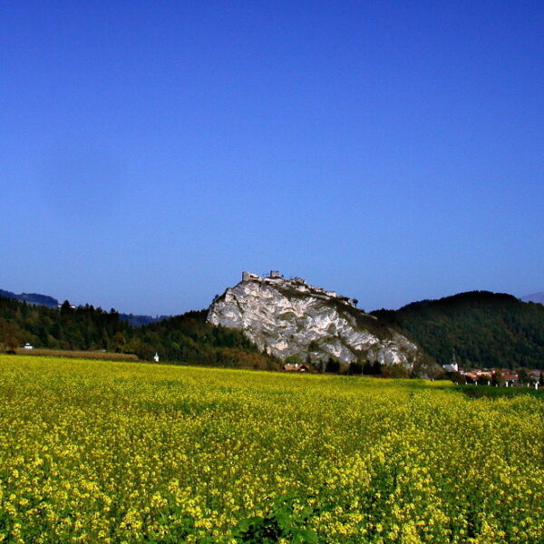 Ein felsiger Hügel mit einem Gebäude auf der Spitze erhebt sich über einem Feld mit gelben Blumen, mit bewaldeten Hügeln und einem klaren blauen Himmel im Hintergrund.
