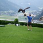 Eine Person, die ein blaues Hemd und Shorts trägt, hält einen Arm hoch, als ein großer Vogel, wahrscheinlich ein Adler oder Falke, auf einem Handschuh landet, mit einem malerischen Tal im Hintergrund.