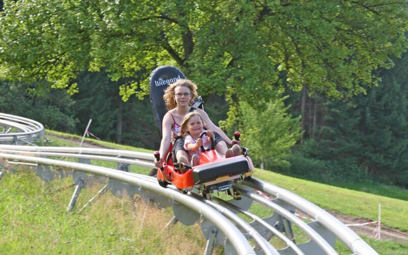 Zwei Personen fahren gemeinsam in einem roten Alpine Coaster-Wagen auf einer Metallschiene durch ein grasbewachsenes Waldgebiet.