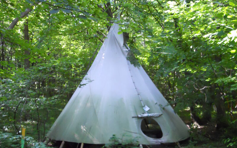 Ein weißes Tipi aus Segeltuch steht auf einer Lichtung, umgeben von dichtem grünem Wald und Laubbäumen, und ein Feldweg führt zu seinem Eingang.