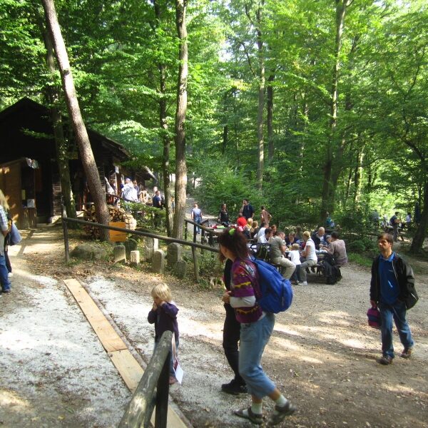 Die Menschen versammeln sich an Picknicktischen und spazieren an einem sonnigen Tag durch ein Waldgebiet in der Nähe von Holzhütten unter Bäumen.