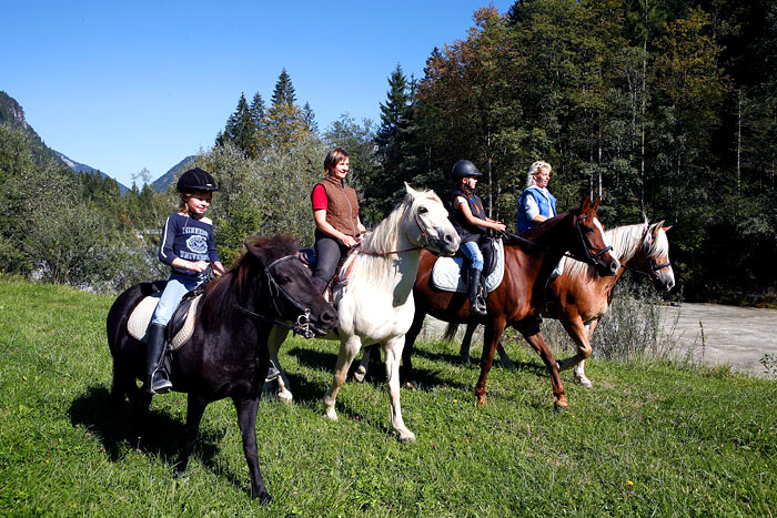 Vier Menschen auf Pferden reiten Seite an Seite durch eine grasbewachsene Wiese, umgeben von Bäumen und Bergen unter einem klaren blauen Himmel.