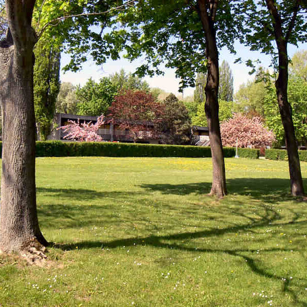 Sonnige Parkszene mit grünem Gras, verstreuten Bäumen und einem Gebäude, das teilweise im Hintergrund zu sehen ist; einige Bäume haben rosa Blüten.