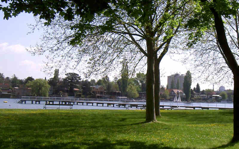 Ein grasbewachsener Park mit vereinzelten Bäumen überblickt einen ruhigen Fluss, an dessen gegenüberliegendem Ufer bei klarem Himmel ein Steg und Gebäude zu sehen sind.