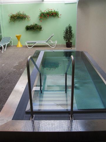 Kleiner Innenpool mit Metallgeländern, umgeben von Liegestühlen und Topfpflanzen vor einer grünen Wand mit hängenden Pflanzgefäßen.