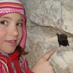 Ein Kind in roter Jacke und gestreiftem Hut zeigt auf eine kleine Fledermaus, die in einer Felsspalte ruht.