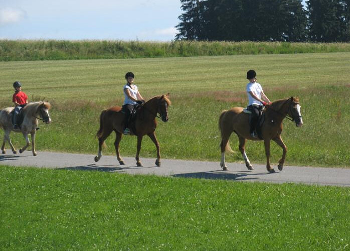 Drei Personen mit Helmen reiten auf Pferden in einer Reihe auf einem gepflasterten Weg neben einem grasbewachsenen Feld, mit Bäumen und Feldfrüchten im Hintergrund.