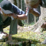 Zwei Personen in Outdoor-Kleidung untersuchen mit Taschenlampen den Waldboden, wobei sie Moos und einen Baumstumpf in einem Waldgebiet genau unter die Lupe nehmen.