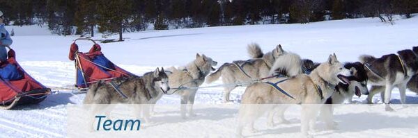 Eine Person in Winterkleidung fährt mit einem Hundeschlitten, der von einem Gespann aus sechs Huskys gezogen wird, durch eine verschneite Landschaft.