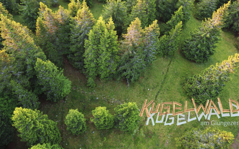 Luftaufnahme eines dichten Kiefernwaldes mit der Aufschrift "Kugelwald am Glungezer" auf der Graslichtung.