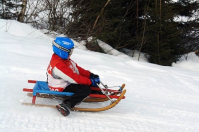 Eine Person, die einen blauen Helm und eine rote Jacke trägt, fährt auf einem Holzschlitten über einen verschneiten Hang, der von Bäumen umgeben ist.