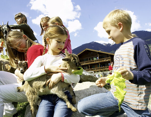 Mehrere Kinder sitzen im Freien auf Felsen und halten und füttern Ziegenbabys. Im Hintergrund sind ein Holzhaus, Berge und ein blauer Himmel zu sehen.