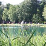 An einem sonnigen Tag versammeln sich Menschen am Rande eines kleinen Sees, umgeben von Bäumen und Grün, mit hohem Gras im Vordergrund.