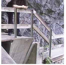 Person, die sich an ein Holzgeländer neben einer Felswand lehnt, wobei ein Teil einer Treppe und eines Weges sichtbar ist.